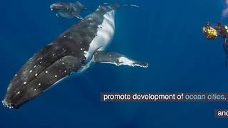 Protecting Asia-Pacific Oceans