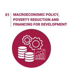 Macroeconomic Policy and Financing for development